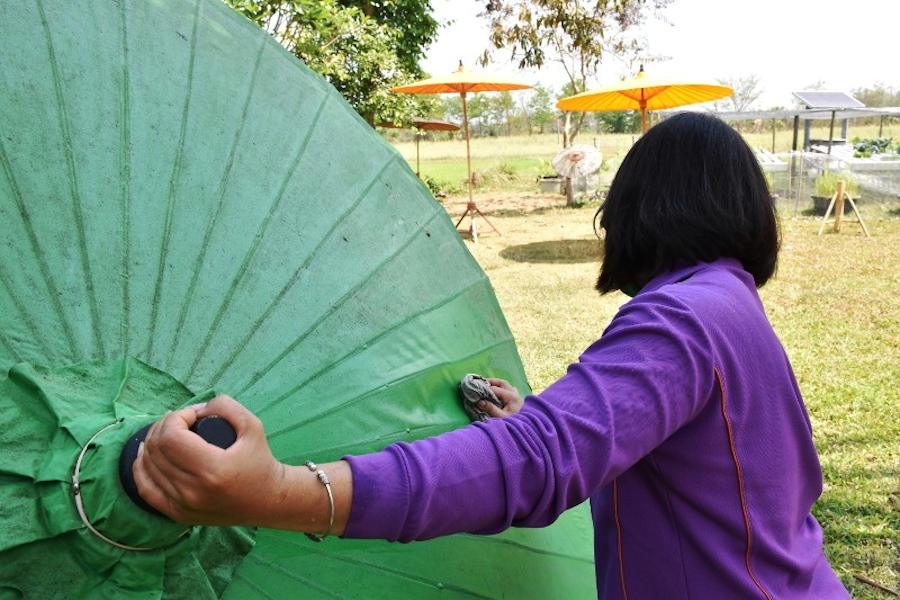 Cleaning a Bamboo Umbrella's classic oiled canopy - here a patio umbrella.