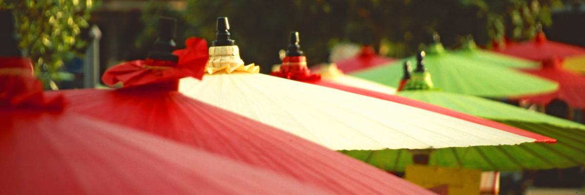 Chiang Mai Classic Bamboo Garden and Patio Umbrellas in a row on bamboo umbrellas